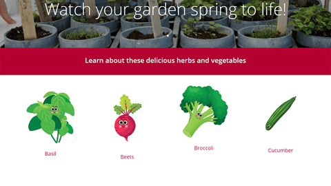 Stop & Shop 'Grow & Learn' Microsite